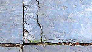 A crack in a sidewalk